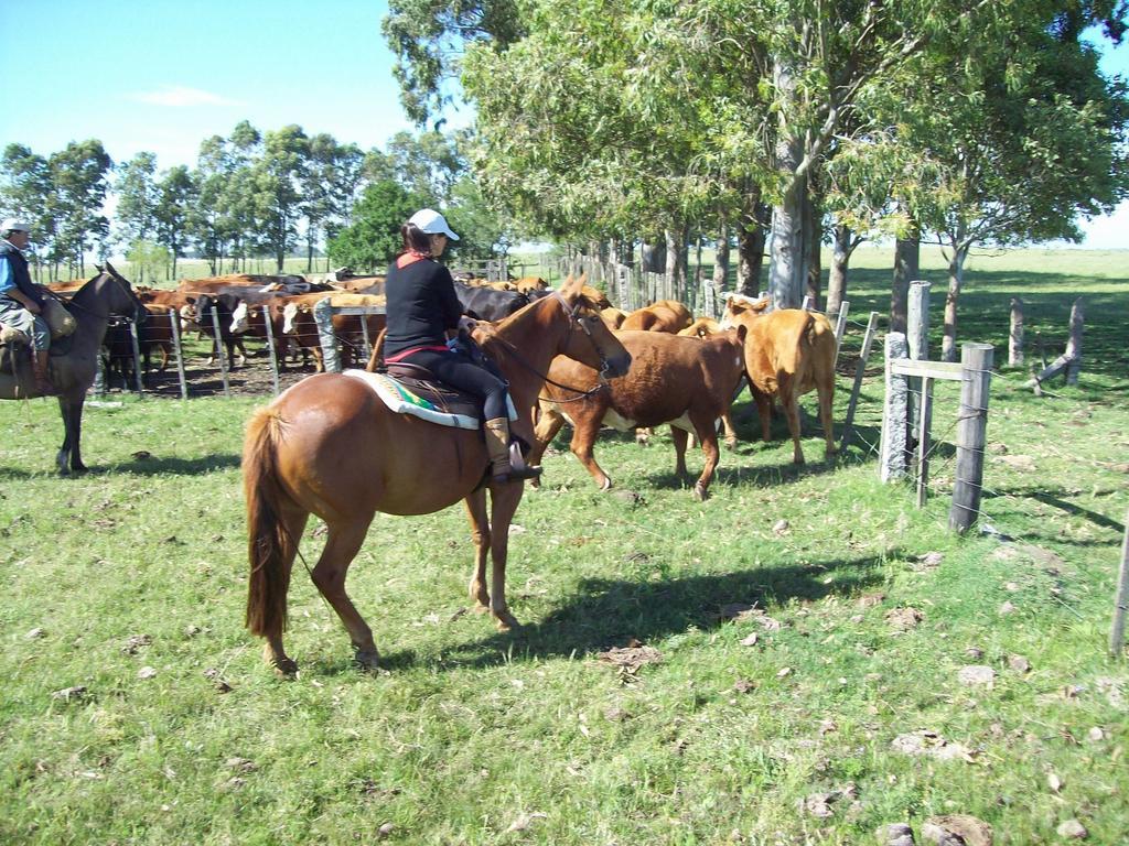 Estancia Turistica La Amorosa Trinidad Rom bilde