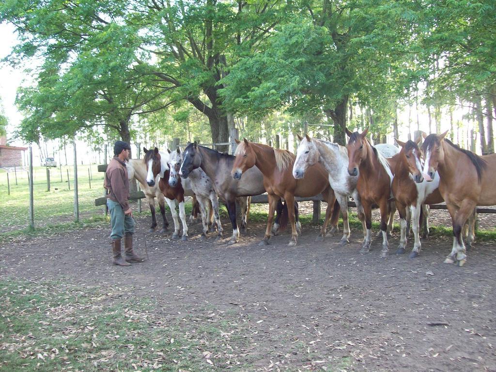 Estancia Turistica La Amorosa Trinidad Rom bilde